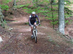 gal/2010/04 - Nel Parco delle foreste Casentinesi - 22 Maggio/03 _sentiero_degli_acuti/_thb_9_verso_sassofortino-01.jpg